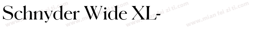 Schnyder Wide XL字体转换
